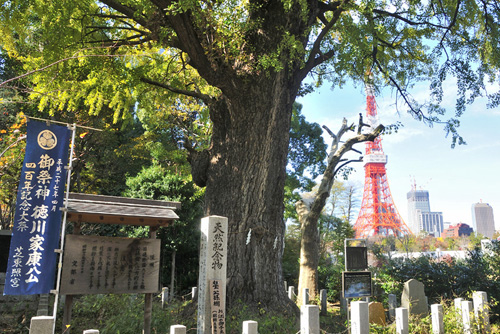 東京巨木