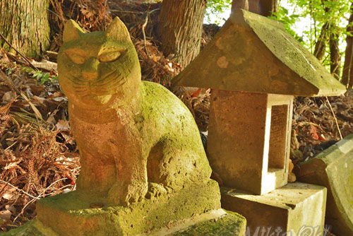 福島県・猫神・庭渡神社石像