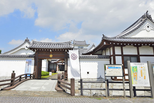 千葉県巨木・野田市・関宿城博物館