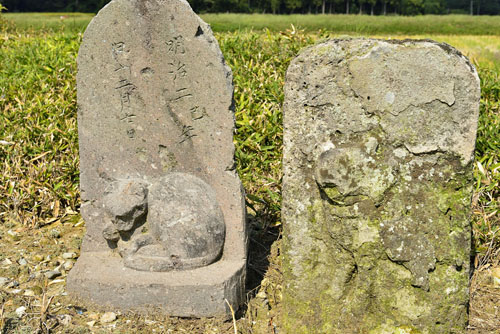 栃木県・猫神・町島石碑