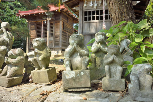 埼玉県巨木・加須市・上高柳山王神社