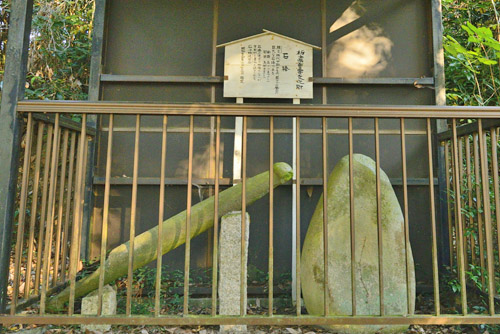 埼玉県巨木・本庄市・小平石神神社ケヤキとスギ