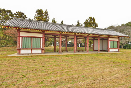 栃木県巨木・栃木市・下野国庁跡