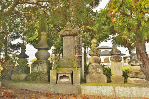 栃木県巨木・栃木市・慈済寺の榧