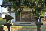 中屋敷熊野神社のケヤキ13