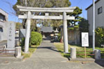 月見里神社のクス-06