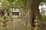 熊野神社の杜-02-05