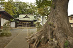 熊野神社の杜-02-07