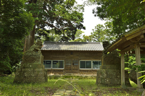 西神社の大スギ01