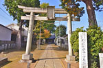 清水八幡神社のイチョウ-02