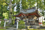 大宮巌鼓神社のケヤキ-02