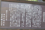 神代杉-08