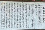 神代杉-09