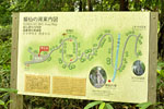 cm-嫗仙の滝-02