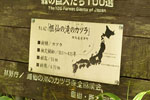cm-嫗仙の滝-03