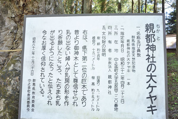 cm-親都神社-02