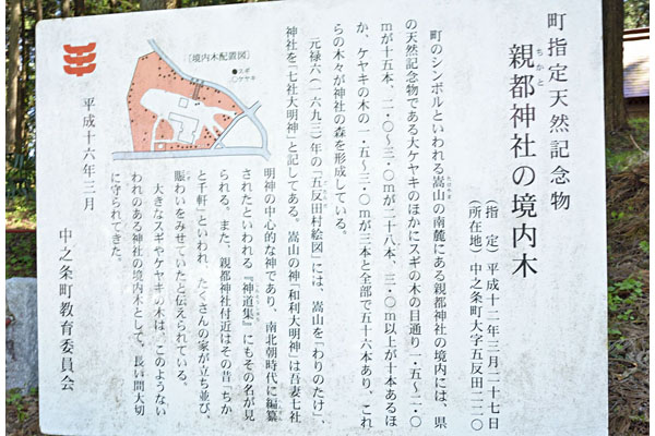 cm-親都神社-03