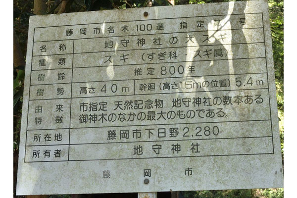 cm-地守神社-03