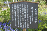 cm-桂昌寺-04