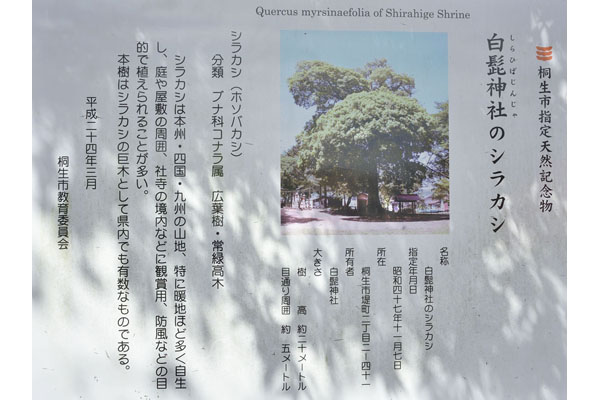 cm-桐生白髭神社-01