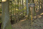cm-栗生山-02