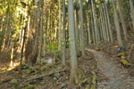 cm-栗生山-03