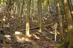 cm-栗生山-06