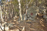 cm-栗生山-09