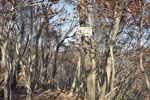 cm-栗生山-13
