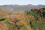 cm-栗生山-15