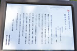 野の大クスノキ-13
