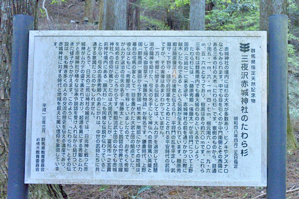 cm-三夜沢赤城神社-03