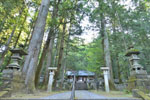 cm-三夜沢赤城神社の大スギ群-11
