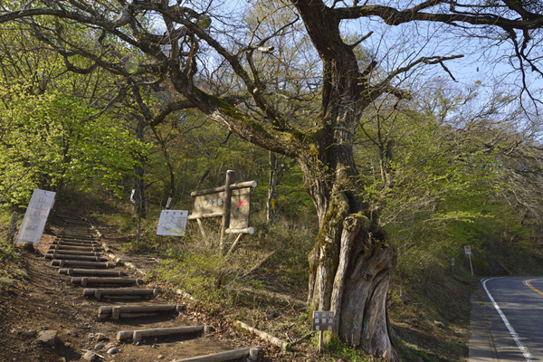 赤城山荒山鍋割山-01