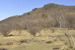 赤城山荒山鍋割山03