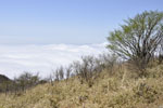 赤城山荒山鍋割山09