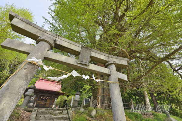 cm-荘田神社-01