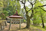 cm-荘田神社-03