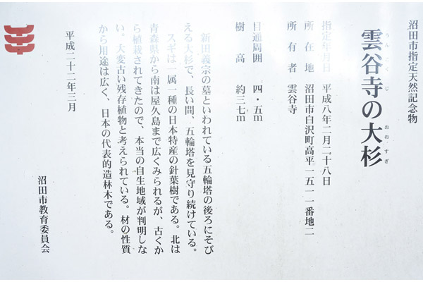 cm-雲谷寺-03