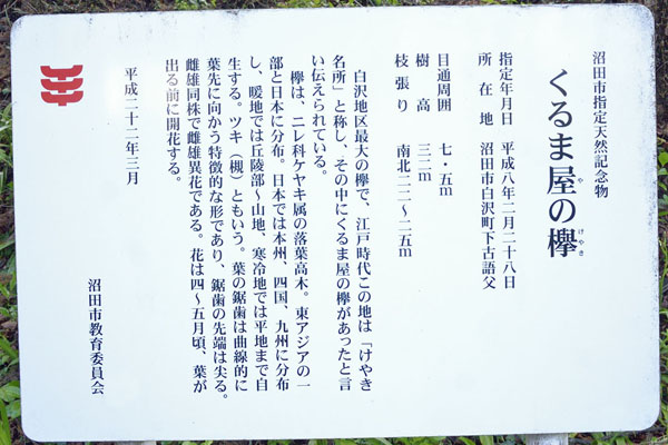 cm-くるま屋の欅-01