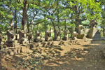 cm-三島神社-02
