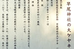 早尾神社の大ケヤキ12