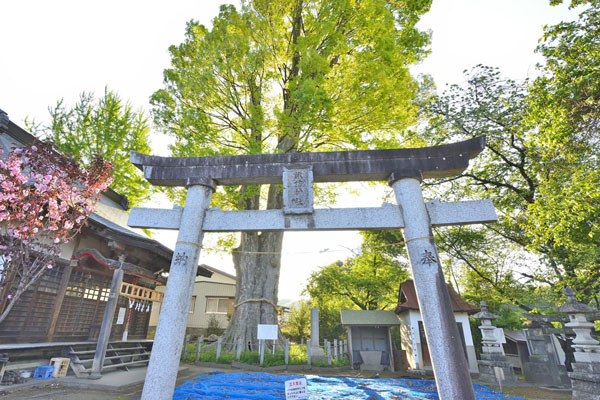 cm-溝呂木諏訪神社-01