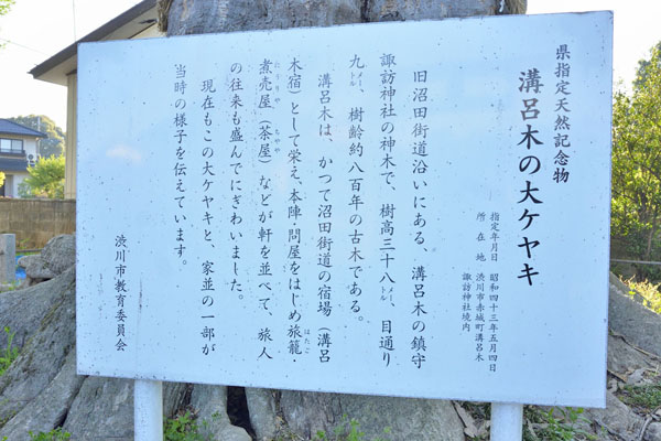 cm-溝呂木諏訪神社-02