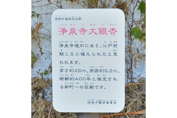 cm-浄泉寺-02