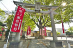 新町諏訪神社のケヤキ-05