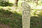 cm-常行院-03