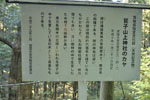 鷲子山上神社のカヤ-09