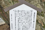 水海道諏訪神社のケヤキ-09