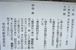 石毛稲荷神社の大けやき-09